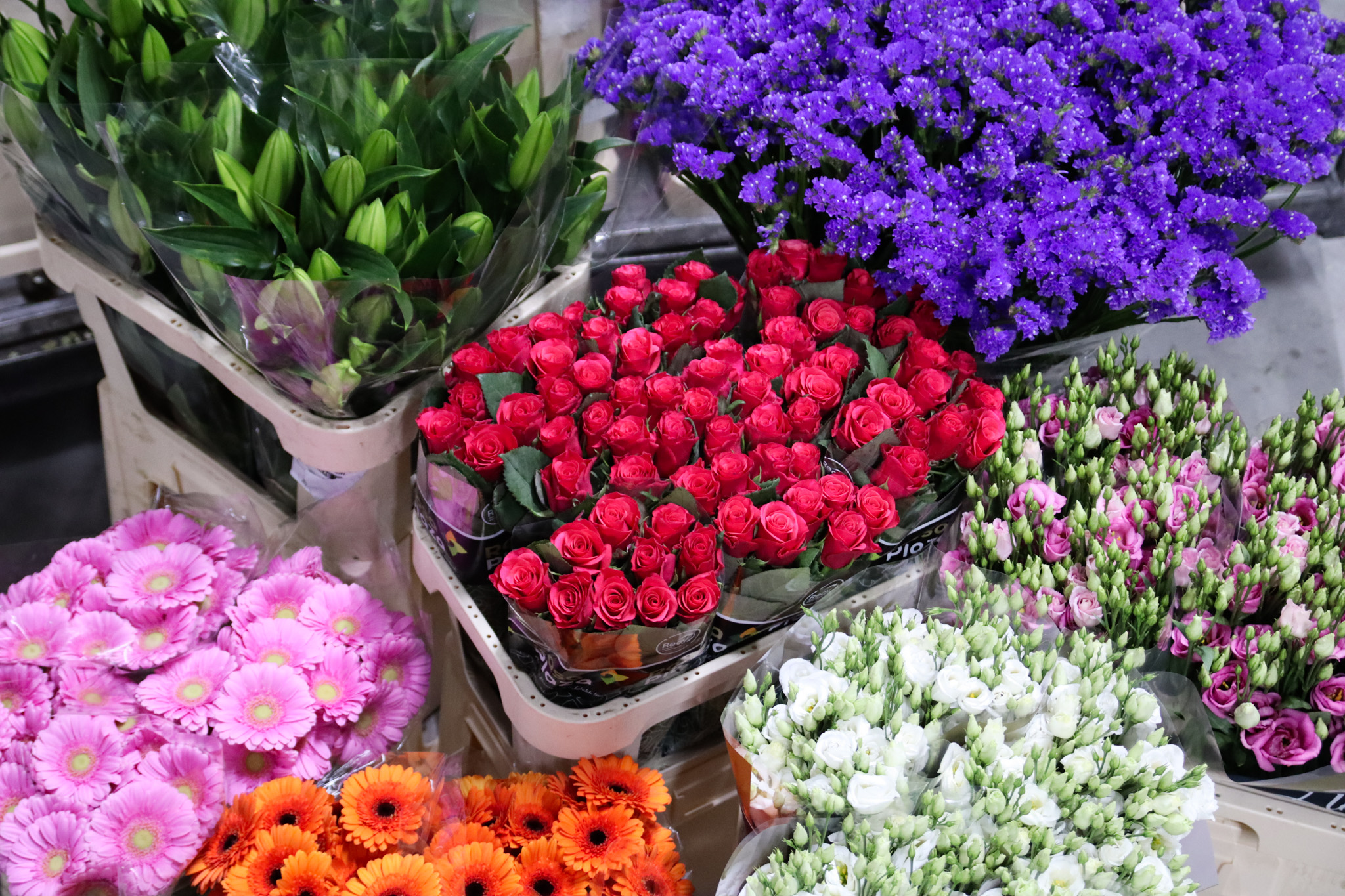 Mixed cut flowers arrangement
